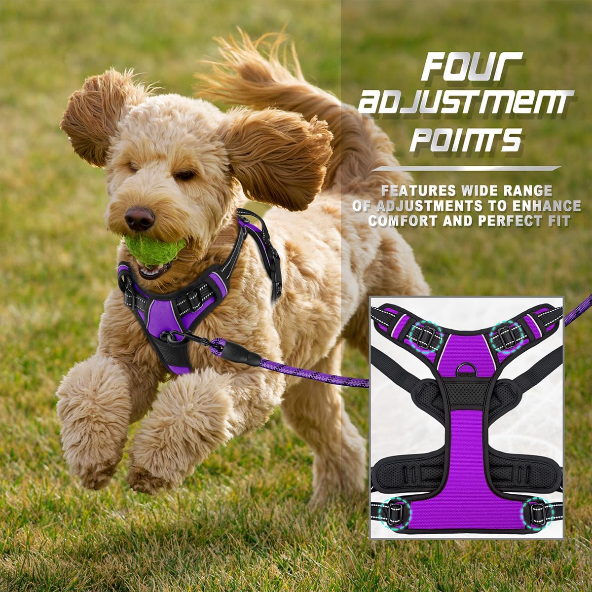 BARKBAY No Pull Dog Harness Front Clip Heavy Duty Reflective Easy Control Handle for Large Dog Walking(Purple,XS)