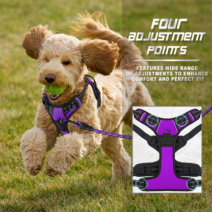 BARKBAY No Pull Dog Harness Front Clip Heavy Duty Reflective Easy Control Handle for Large Dog Walking(Purple,XS)