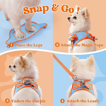 rabbitgoo Dog Harness Small Sized and Leash Set, Step-in Breathable Pet Harness, Soft Walking Reflective Puppy Vest for Small Dogs, Light Blue & Orange, XXS