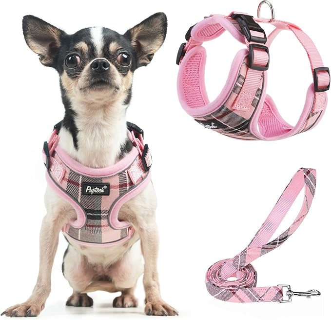 PUPTECK Soft Mesh Dog Harness and Leash Set Pet Puppy Cat Adjustable Reflective Padded Vest No Pull Harnesses, Pink, XS
