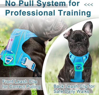 BARKBAY Dog Harness No Pull with ID Tag Pocket - Heavy Duty, Reflective, Easy Control for Large Dogs(Blue,XS)
