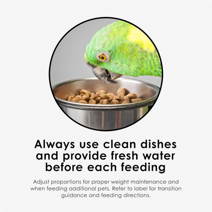 Kaytee Nutri Soft Pet Parrot & Conure Bird Food, 3 Pound