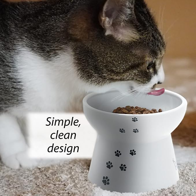 Necoichi Raised Cat Food Bowl – Ceramic Elevated Cat Bowl for Whisker & Neck Fatigue, Dishwasher Microwave Safe – Non-Slip & Anti Vomiting Ergonomic Design (Cats, Large)