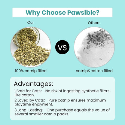 5 Pack Cactus Catnip Toys, 100% Organic Catnip Toys for Indoor Cats, Interactive Plush Chew Fun Without Cotton, Teething Soft Kittens Toys for Kitty, Colorful