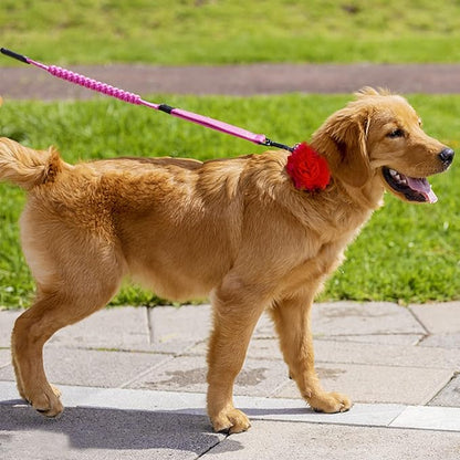10 PCS Dog Collar Flowers, Multi-Color Pet Bow Ties Flower, Sliding Pet Collar Grooming Accessories for Puppy Small Medium Large Dogs Kitten Cats Rabbits