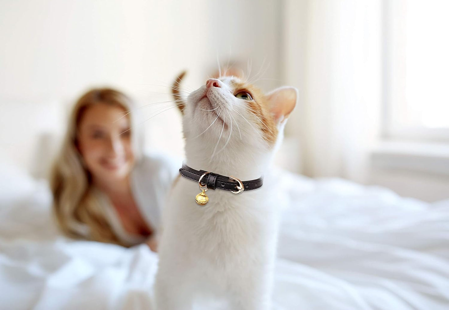 3 Pack Leather Cat Collars with Bells Soft Pet Safety Collar Kitten Collars with Bell Black Chocolate Beige(S)