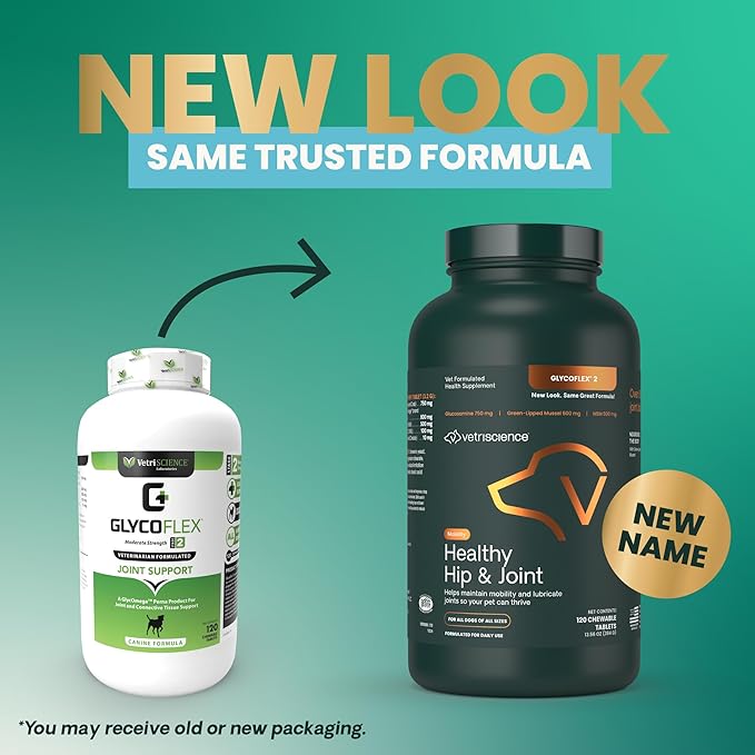 VetriScience Healthy Hip & Joint Chewable Tablets, GlycoFlex Glucosamine and Green-Lipped Mussel Joint Support Supplement for Dogs, Promote Mobility and Protect Joints, Chicken, 120 Count