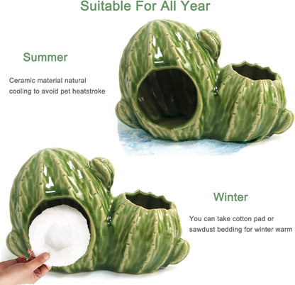 Ceramic Hamster Hideout, Dwarf Hamster House with Double Doors Syrian Hamster Hut Hideout Habitat Decor, Anti Bite Hideaway House Cave for Mice Gerbil (Large, Green)