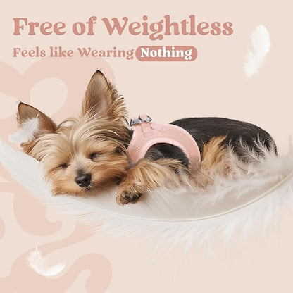 rabbitgoo Small Dog Harness, Step-in Soft Mesh Puppy Vest with Safety Buckle, Breathable Reflective Pet Harness for Small Sized Dogs, Pink M