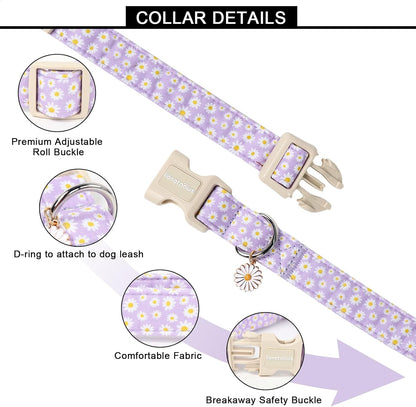 Lionet Paws Floral Dog Collar- Cute Daisy Purple Dog Collars with Plastic Buckle, Light Adjustable Dog Collars for Small Medium Dogs