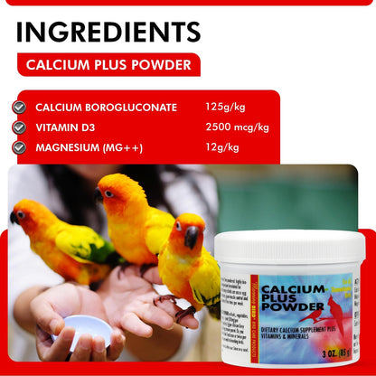 Morning Bird Calcium Plus Powder for Birds 3 oz – Calcium Supplement with Vitamin & Protein Powder – Supports Bone Health, Muscle Function & Digestive Balance – Easy-to-Mix Calcium Formula
