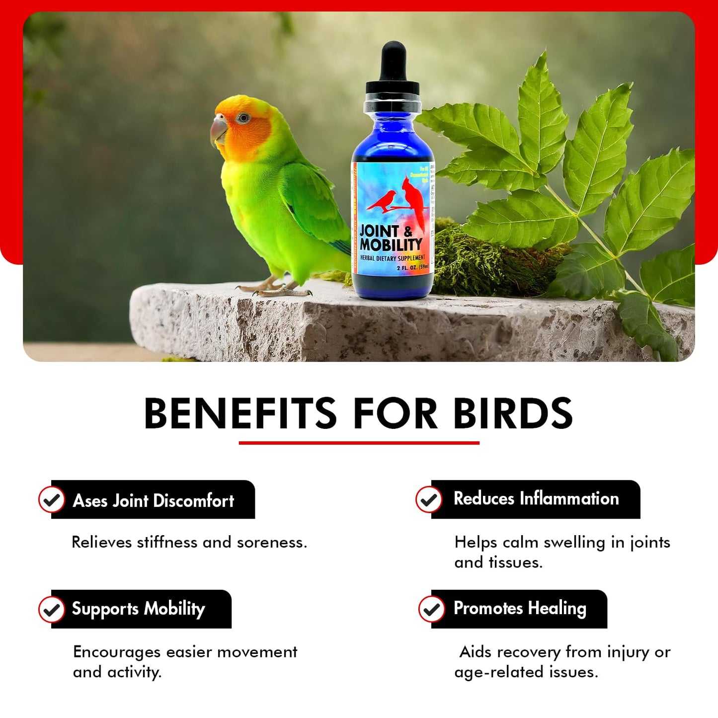 Morning Bird Joint & Mobility 2 fl oz – Muscle Pain Relief Supplement for Joint Health, Stop Pain & Arthritis Supplements – Herbal Liquid Formula for Aging, Injured, or Stressed for All Bird Types
