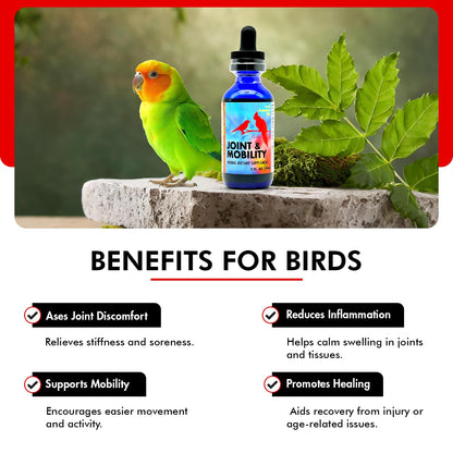 Morning Bird Joint & Mobility 2 fl oz – Muscle Pain Relief Supplement for Joint Health, Stop Pain & Arthritis Supplements – Herbal Liquid Formula for Aging, Injured, or Stressed for All Bird Types