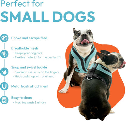 Gooby Comfort X One Dog Harness - Head-in Dog Harness for Small & Medium Sized Dogs - Escape-Free & Choke Free - Breathable Mesh, Shock Absorbing, Easy Snap & Swivel Buckles - Miami Yellow, X-Large