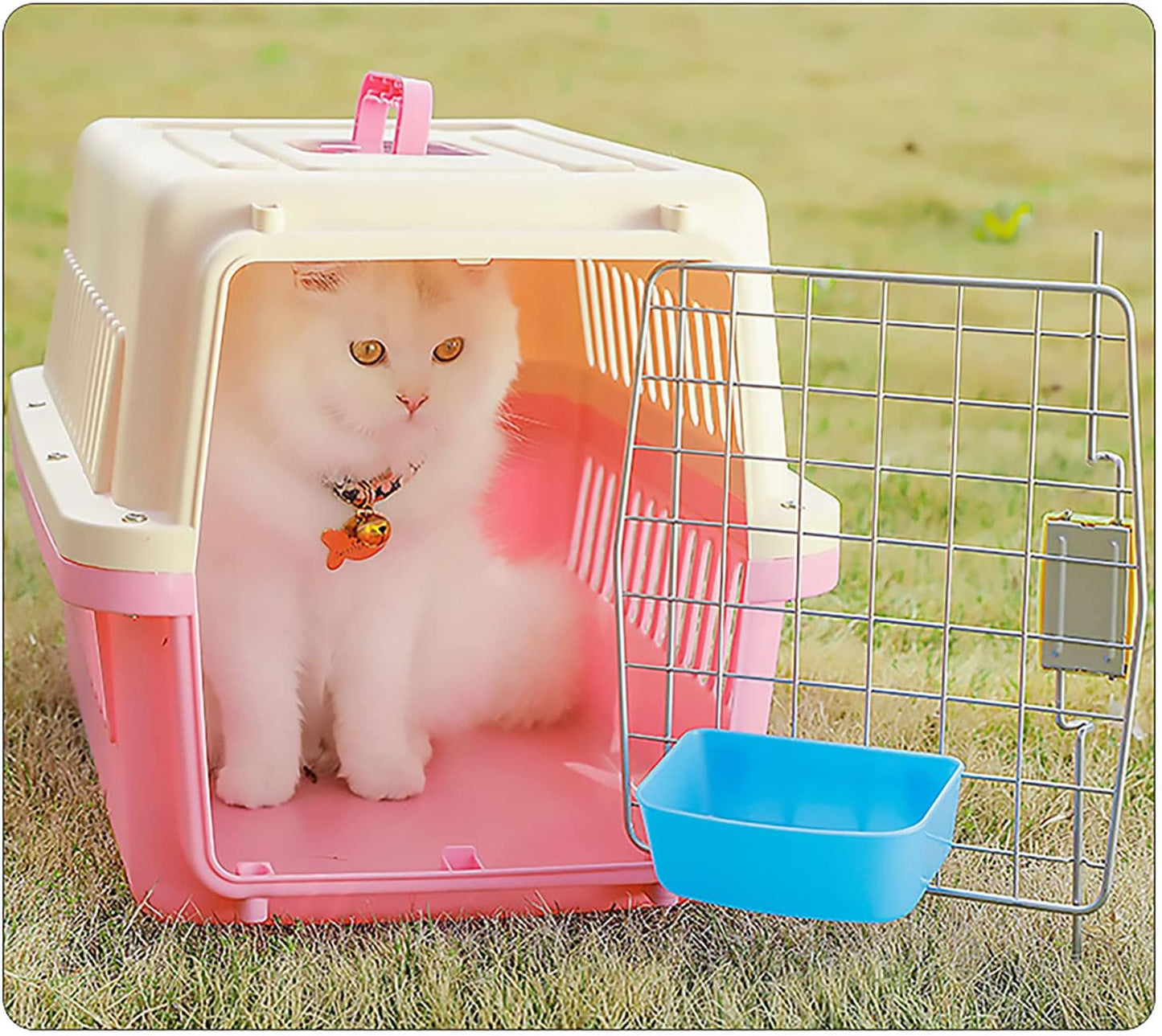 26 Pack Chicken Feeder Cups Rabbit Feeders for Cages 21 oz Waterer Cat Guinea Pig Treats Food Bowl Hanging Feeding Coop Dish Puppy Watering Container Drinker Pigeon Bird Bath