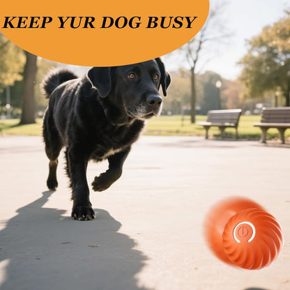 Interactive Dog Ball, Automatic Moving Toy Ball with Cover for Large Dogs, Self Rolling Best Boredom Toys for Gift, Dog Toys to Keep Them Busy(Orange, Small 2.2in)