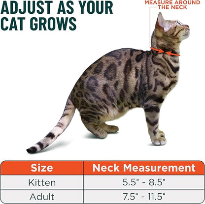 OutdoorBengal Ultra-Safe Quick Release Breakaway Kitten Collar - Cat Collar for Small Kittens Under 6 Months – Soft-Padded, Lightweight, Adjustable, Thin and Comfortable, No Bell (Pink, Kitten)