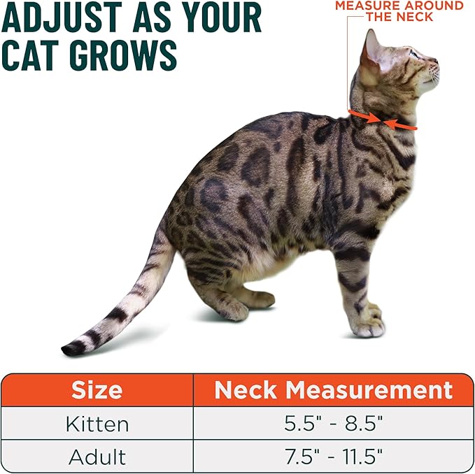 OutdoorBengal Durable Cat Collar Breakaway with Soft Padding for medium to large cats - Thin Heavy Duty Tactical Fabric, Comfortable, Quick Release Breakaway Cat Collars, No Bell Collar (Green, Adult)