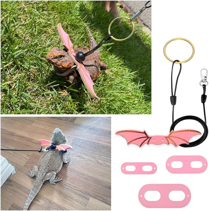 CoguZed Bearded Dragon Leash and Harness Set, Adjustable Lizard Harness with Wings, Cool Leather Reptile Leash for Bearded Dragons, Amphibians & Small Pets (S, M, L, 3 Pack)
