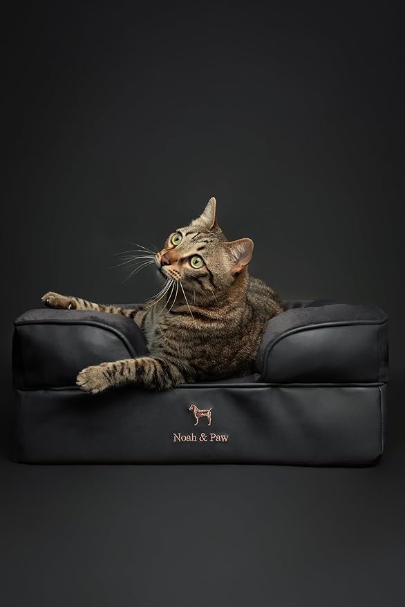 NOAH & PAW Small Dog Bed, 20x15x8 Inch, Cat Bed for Indoor Cats, Orthopedic Eggshell Memory Foam Infused with Cooling Gel, Waterproof Inner Cover Machine Washable (Faux Leather Collection)