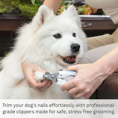 AIXINPET Dog & Cat Nail Clippers and Trimmers - with Free Nail File, Protective Guard to Avoid Over Cutting, Extra Sharp Blade - Suitable for Small to Large Dogs, Puppies, Birds and Rabbits (Large)
