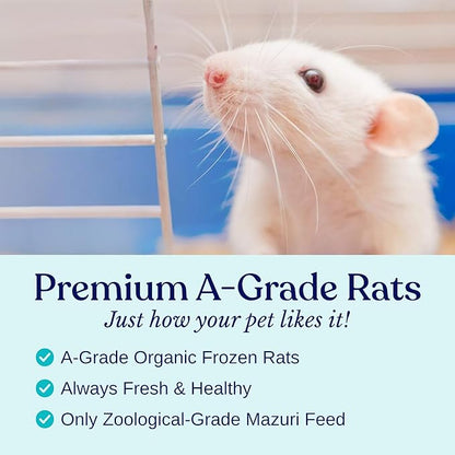 MiceDirect EST. 2003 50 Frozen Rat Small Feeders Snake Food for Adult Ball Pythons and Red Tail Boas Lizards Monitors (4.5-6 in)(2250 Grams Min)