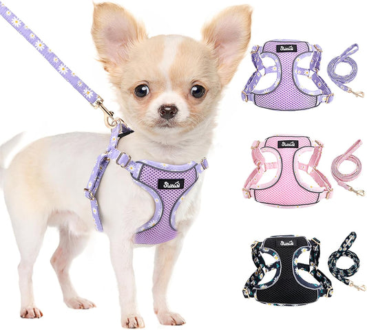 SlowTon Small Dog Harness - No Pull Dog Harness and Leash Set, Soft Mesh Lightweight Puppy Vest Harnesses, Adjustable Pet Harnesses for XXS XS Small Medium Easy Walk Hiking (Purple, XXS)