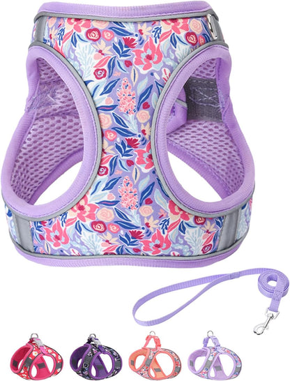 Step in Dog Harness and Leash Set, Flower Adjustable Easy Walk Puppy Harnesses, Soft Mesh Pet Vest Harness Small Size Dog Adjustable No Pull Dog Harness for Small Medium Dogs(Light Purple, S)
