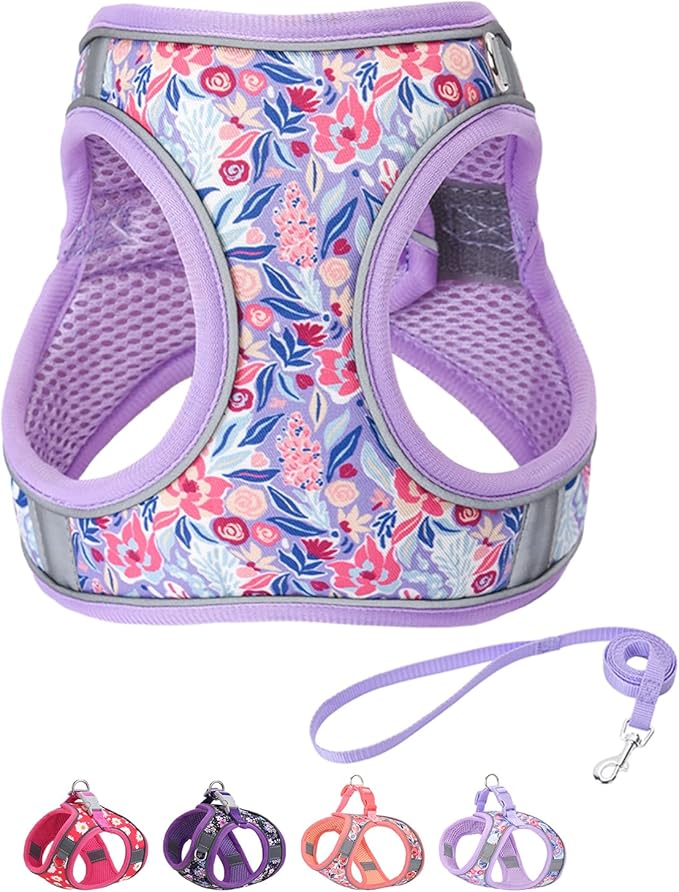 Step in Dog Harness and Leash Set, Flower Adjustable Easy Walk Puppy Harnesses, Soft Mesh Pet Vest Harness Small Size Dog Adjustable No Pull Dog Harness for Small Dogs and Cats(Light Purple, XXS)