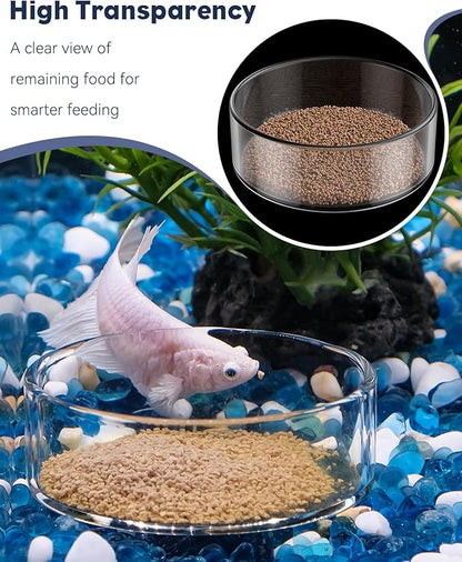 Pawfly 3 Pcs Shrimp Feeding Dish, Clear Glass Aquarium Shrimp Feeder, Transparent Food Tray for Fish Tanks and Terrariums