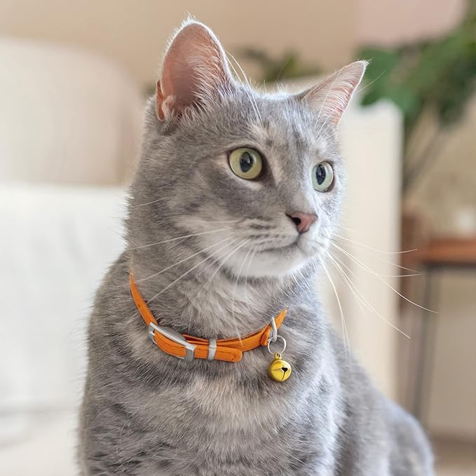 CollarDirect Leather Cat Collar with Bell - Kitten Collar, Small and Big Cat Strap for Boy Cats, Girl Cats with Safety Elastic Strap (Neck Fit 8"-11", Orange)