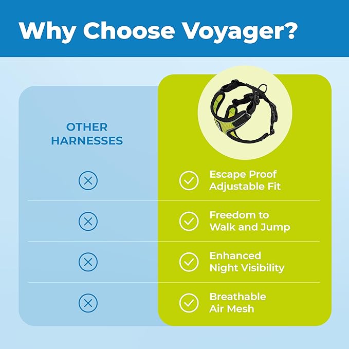 Voyager Escape Proof Cat Harness and Leash Set with Reflective Stitching, Neoprene Handle 5ft - Supports Small, Medium and Large Cats, Kittens for Walking by Best Pet Supplies - Black Trim-Lime, XXS