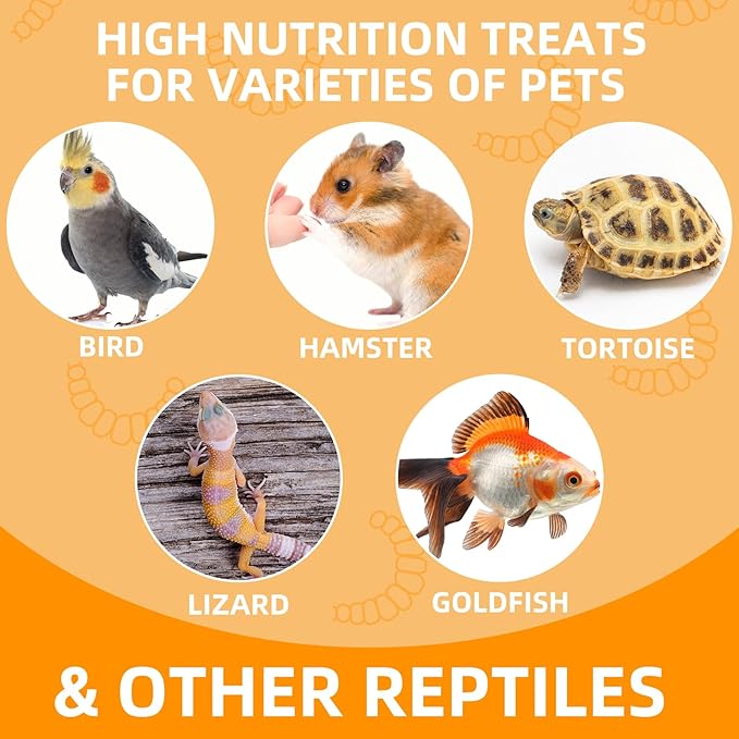 6 Pack Canned Dubia Roaches for Reptiles, Birds and Small Animals, Dubia Roaches, Healthy High Protein Treat, Reptile Food 7.2 Ounces Total