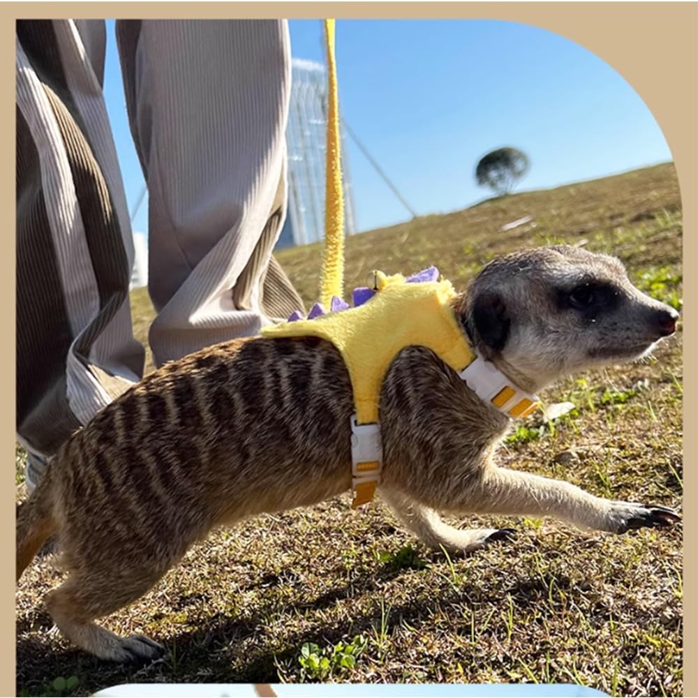 Ferret Harness and Leash Set Small Animals Vest Harness with Safe Bell Dinosaur Shaped Walking Clothes for Baby Rabbit Guinea Pig Teacup Chihuahua Mouse and Other Small pet (Yellow)