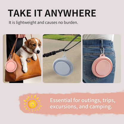 Collapsible Dog Bowls 2-Pack, Portable Travel Dog Bowl with Carabiner, Food-Grade Silicone Pet Bowl for Hiking, Walking(Macaron Pink and Blue)