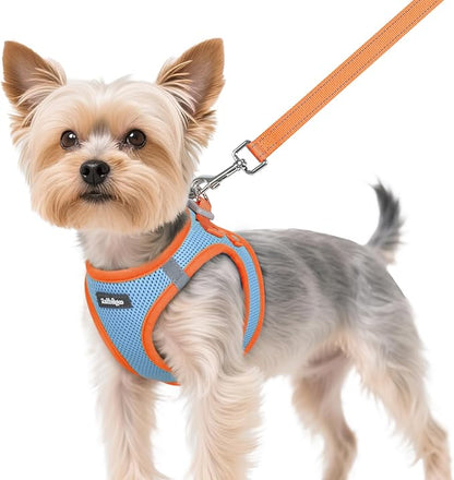 rabbitgoo Dog Harness Small Sized and Leash Set, Step-in Breathable Pet Harness, Soft Walking Reflective Puppy Vest for Small Dogs, Light Blue & Orange, XS