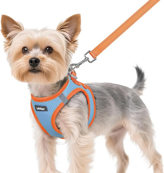 rabbitgoo Dog Harness Small Sized and Leash Set, Step-in Breathable Pet Harness, Soft Walking Reflective Puppy Vest for Small Dogs, Light Blue & Orange, XS