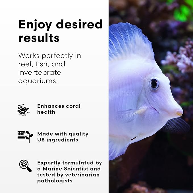 Brightwell Aquatics Reef BioFuel - Organic Carbon Supplement for Marine and Reef Aquariums, Aiding Bacterioplankton Growth That Promotes Rapid Phosphate and Nitrate Reduction, 20 L