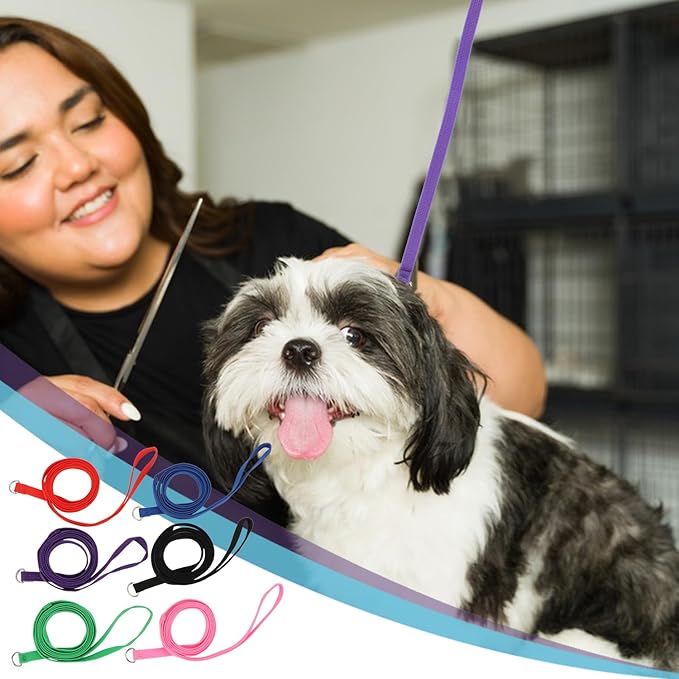 Hypeety 6 Pcs Bulk Pack Slip Leads Dog Pet Grooming Kennel Small Animal Control Shelter Lead Leash