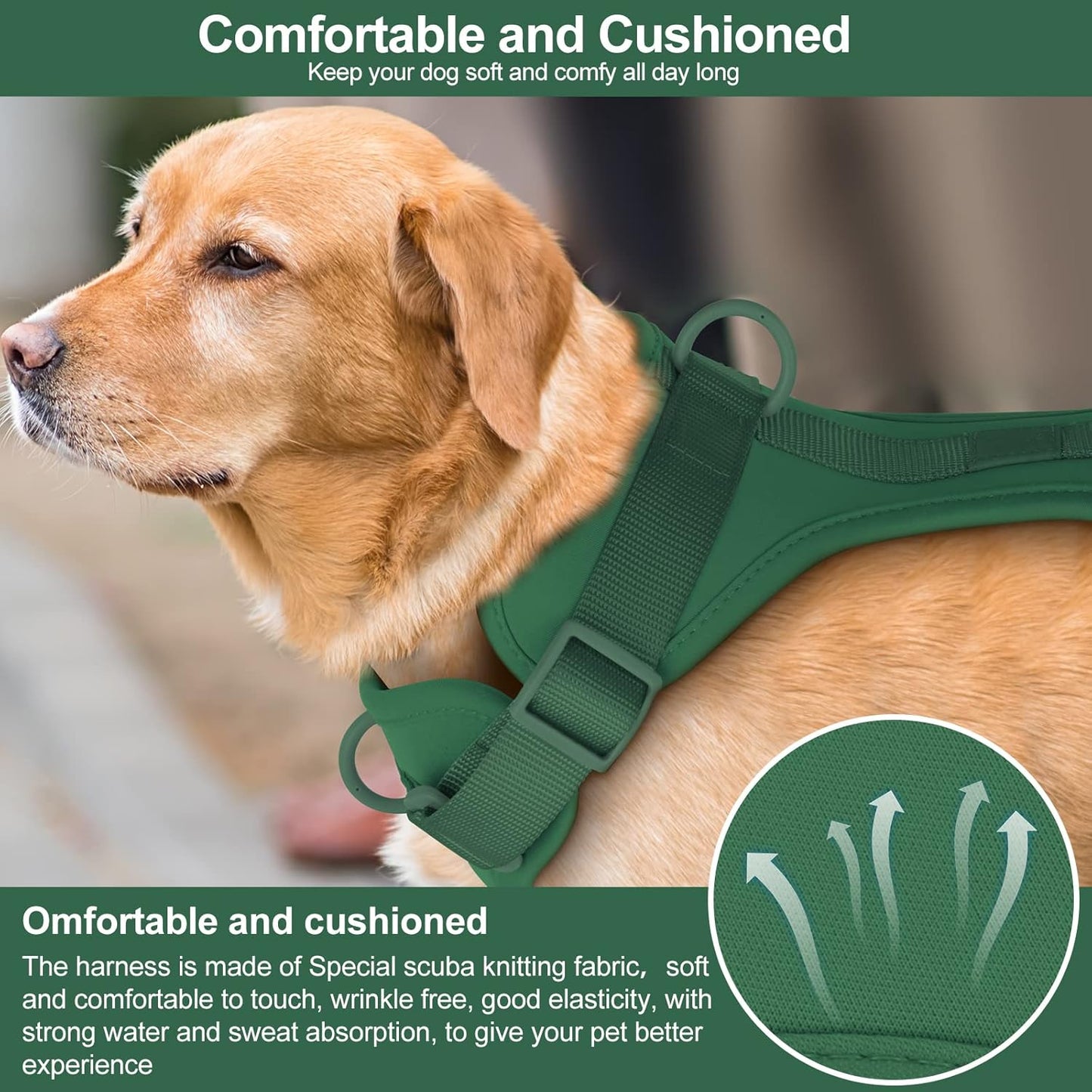 No Pull Lightweight Dog Harness: Adjustable Durable Breathable Mesh Pet Vest Harness with Soft & Comfortable Cushion, for Small Medium Large Dogs (L, Pine Green)