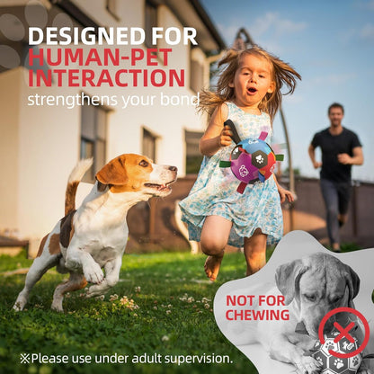 QDAN Dog Soccer Ball, Dog Balls with Straps, Outside Dog Toys for Small Medium Pets, Birthday Gift Toy, Soccer Ball for Dogs with Tags, Herding Balls Toys (6 Inch)