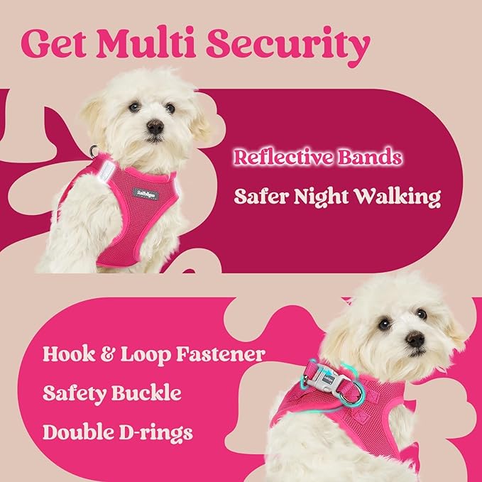 rabbitgoo Small Dog Harness, Step-in Soft Mesh Puppy Vest with Safety Buckle, Breathable Reflective Pet Harness for Large Dogs, Rose Red XXL