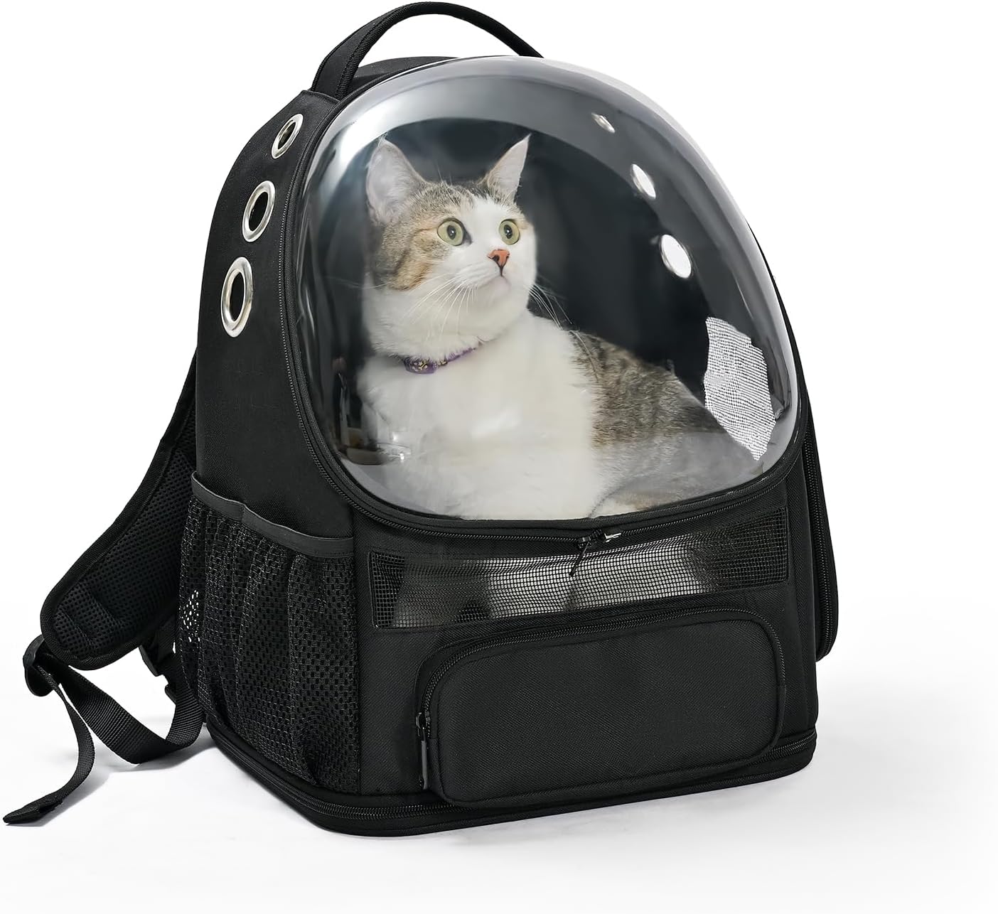 Amazon Basics Pet Carrier Backpack for Small Cats & Dogs, Collapsible Travel Carrier with Bubble Window & Breathable Mesh, Foldable for Travel, Black