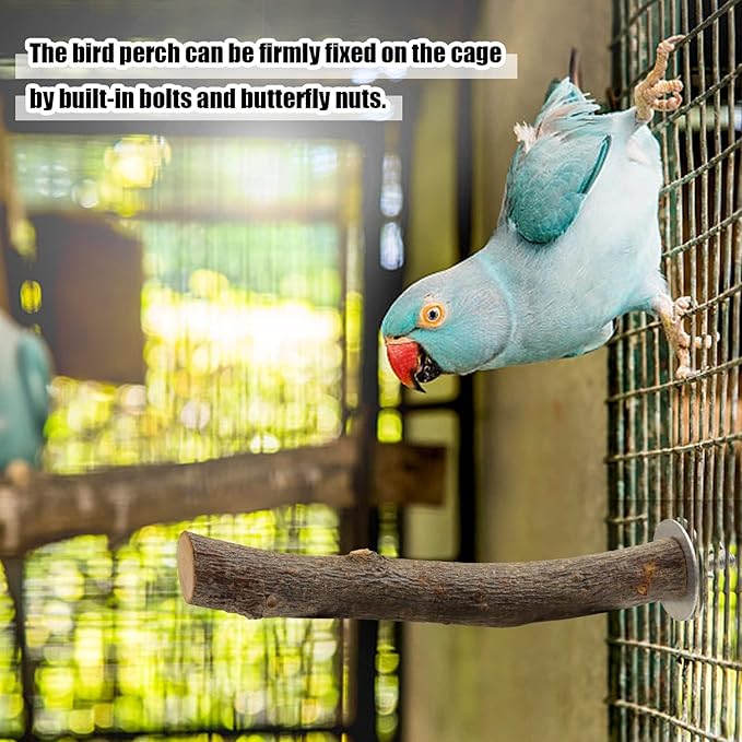 Natural Wood Bird Perches for Cage, Parrot Perch Stand & Platform, Bird Cage Accessories for Parakeets, Cockatiels, Conures, Lovebirds (Brown, Core Perch & Platform - 8PCS)