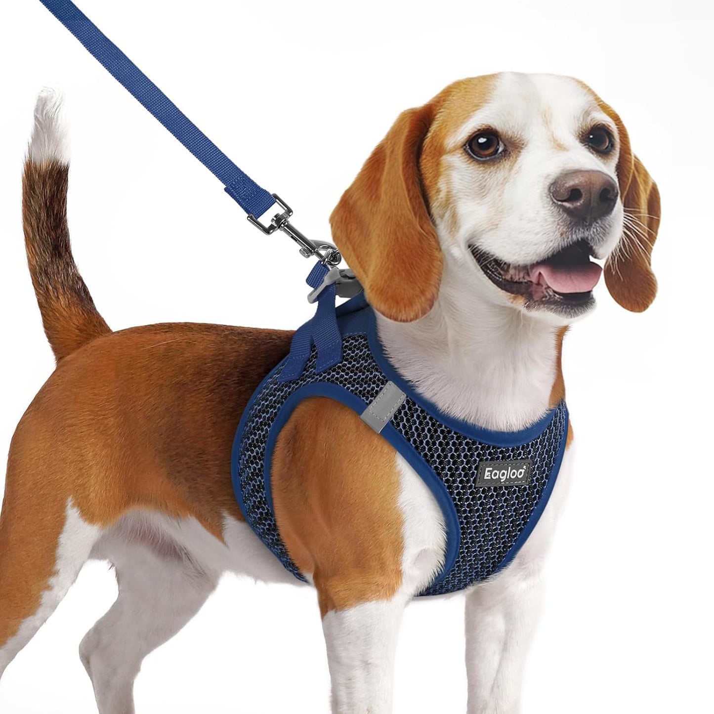 Eagloo Small Dog Harness and Leash Set, Step in Puppy Vest with Breathable Soft Mesh, Walking Reflective Pet Harness for Medium Small Dogs, Navy Blue, M