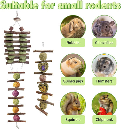 Hamiledyi Bunny Chew Toys Rabbit Hanging Toys for Teeth Grinding Rabbit Toys Natural Fruit Sticks Timothy Grass Cakes Chew Toys and Treats Improve Dental Health for Guinea Pig Hamster Chinchilla