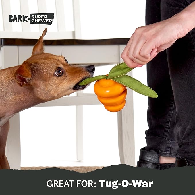 Barkbox Super Chewer Tough Dog Chew Toys for Aggressive Chewers, Treat Dispensing (Carrot - Small)