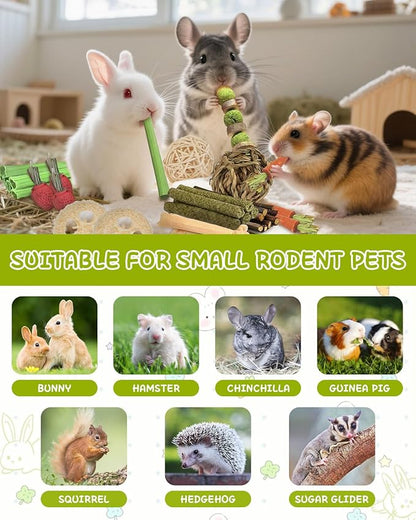 40 PCS Rabbit Chew Toys for Teeth, Natural Bunny Chew Toys Carrot, Strawberry, Timothy Grass Cake, Sweet Bamboo, Apple Sticks for Hamsters, Guinea Pigs and Chinchilla for Dental Care & Relieve Boredom