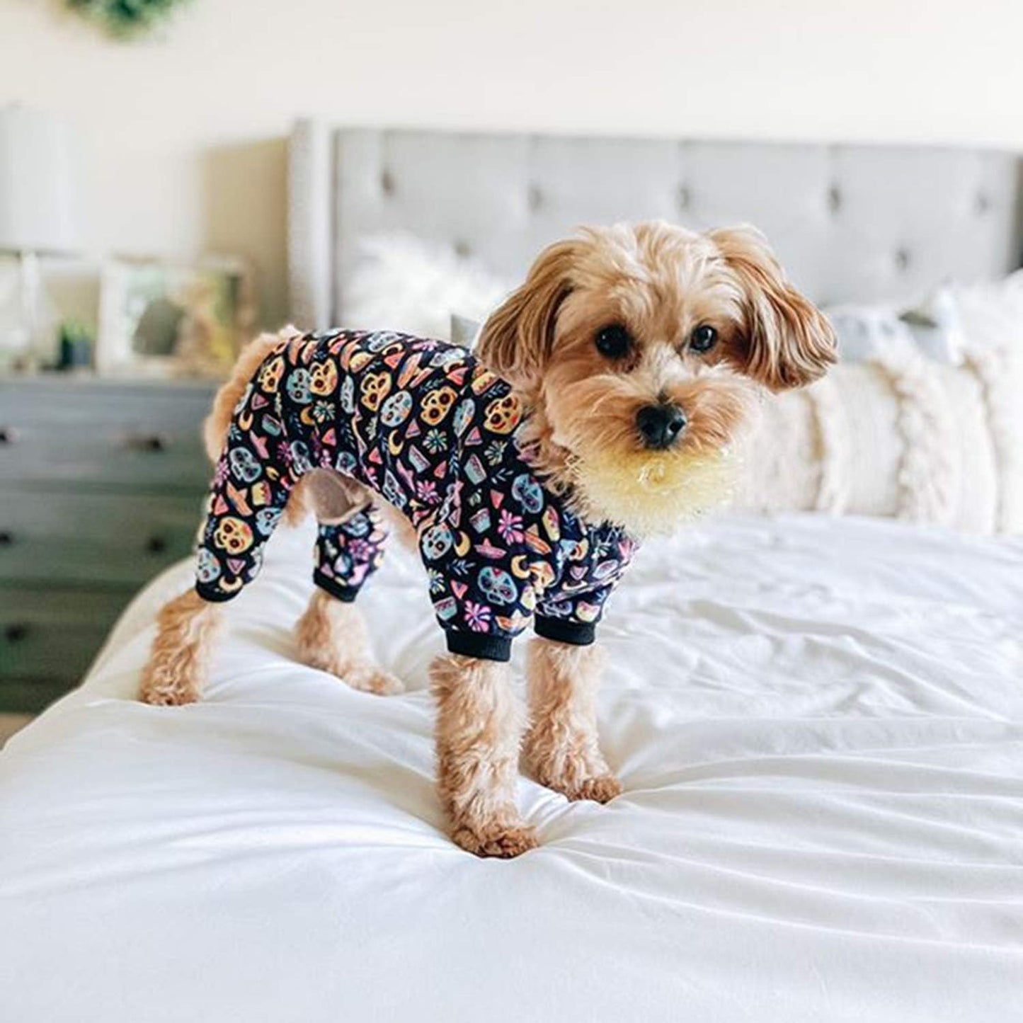 CuteBone Small Dogs Outfit Soft Puppy Onesies Pjs Dog Pajamas Pet Coat Cat Apparel Comfy Doggie Jumpsuit Bodysuit for All Seasons P73XS