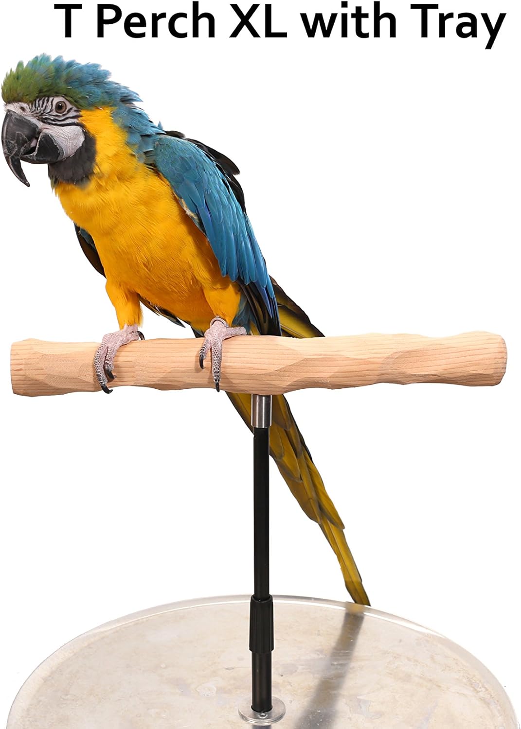 Parrot Training Perch Stand with Potty Tray (T Perch, XL)